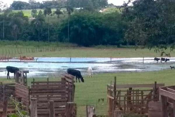 Moradores alegam que água das chuvas represada virou criadouro do Mosquito Aedes Aegypti