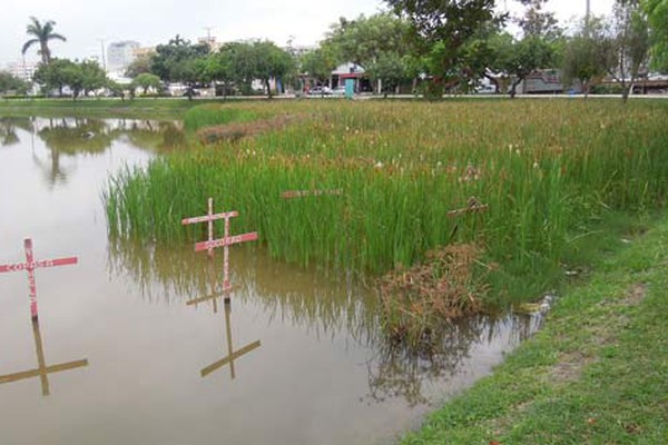 Frequentadores da Lagoa Grande cobram agilidade na revitalização do Cartão Postal