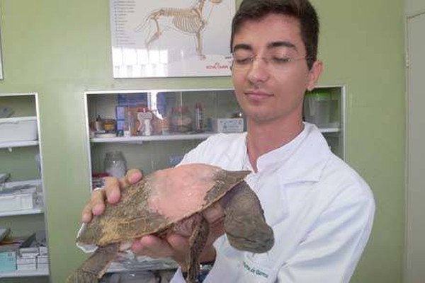 Cágado atropelado na Orla da Lagoa recebe cuidados em clínica veterinária