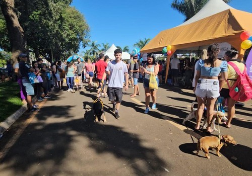 Alunos do Unipam vão promover “Cãominhada Consciente” na Orla da Lagoa Grande