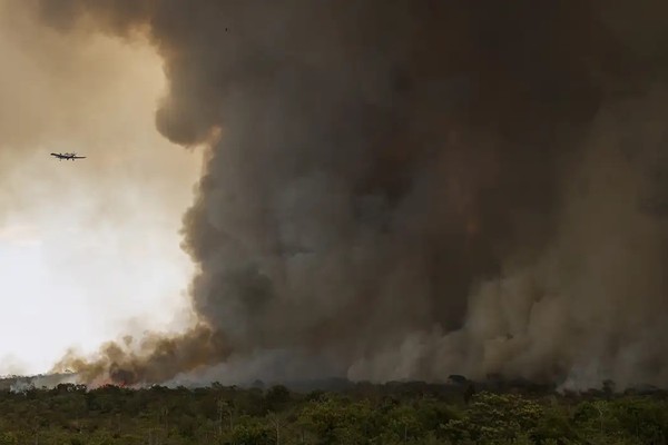 Fogo avança e queima 700 hectares do Parque Nacional de Brasília