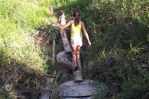 Sem transporte escolar, crianças têm que enfrentar caminhada cheia de perigos