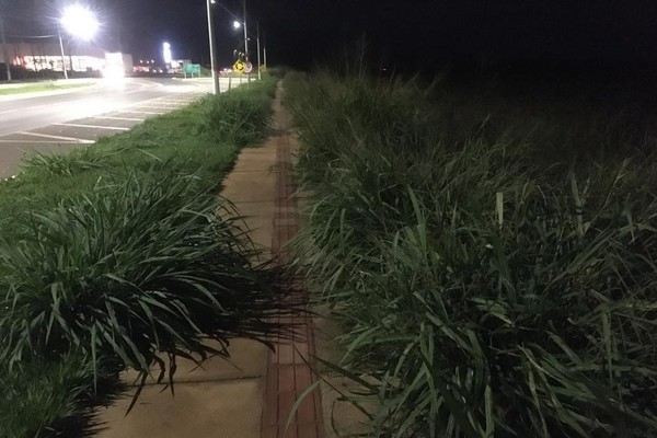 Moradores pedem corte de mato que está tomando parte de pistas na avenida Marabá