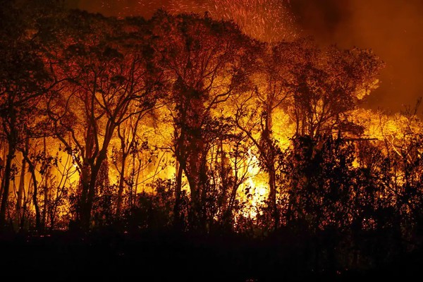 PF investiga incêndios criminosos no Pantanal