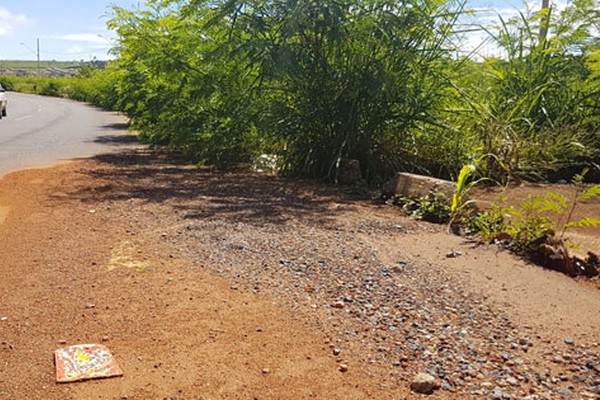 Mato alto toma conta de ruas e avenidas de Patos de Minas e exige atenção dos motoristas