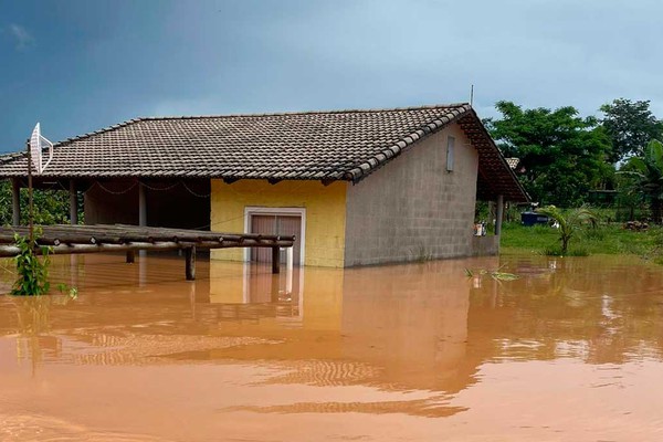 Viveiro de Mudas é alagado e proprietário reclama de intervenção irregular no Rio Paranaíba