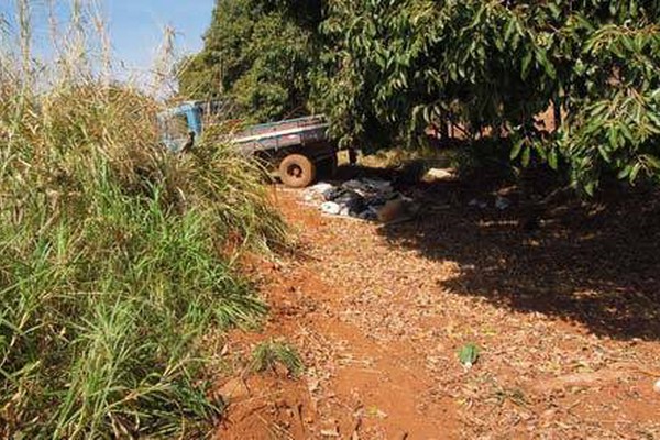 PM de Meio Ambiente flagra caminhão jogando entulho às margens da MGC 354