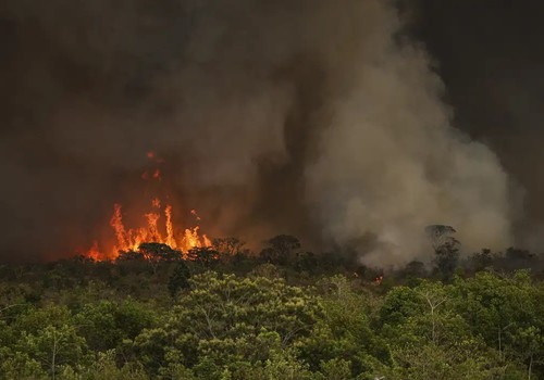 Incêndios podem ter afetado mais de 11 milhões de pessoas no Brasil