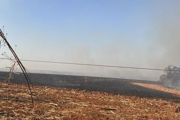 Incêndio de grandes proporções queima área de pastagem e preservação em Patos de Minas