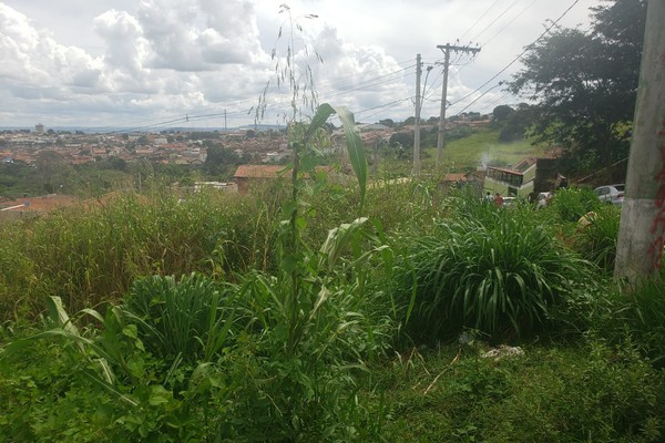 Moradores cobram limpeza de terreno que seria uma praça, mas que está tomado pelo mato