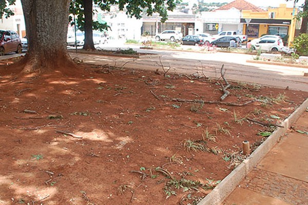 Recém-reformada, praça no centro de Patos de Minas volta a ser alvo de reclamação