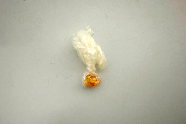 Operação da PM prende namorados por tráfico de drogas no Bairro Sebastião Amorim