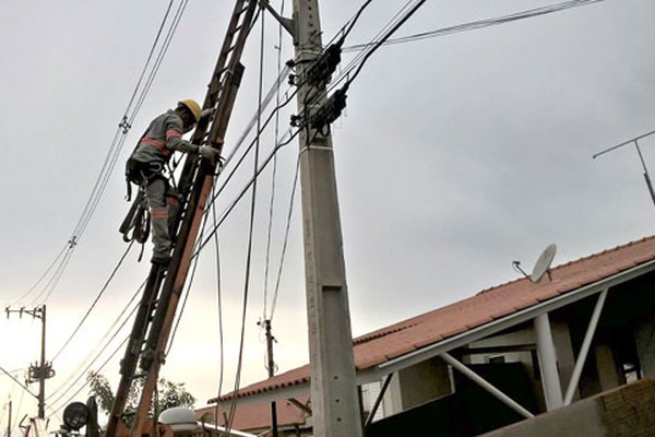 Filhote de gato passa por apuros em poste de energia até ser resgatado em Patos de Minas