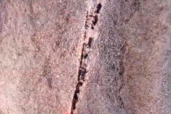 Gelado! Moradores registram formação de geada na zona rural de Patos de Minas