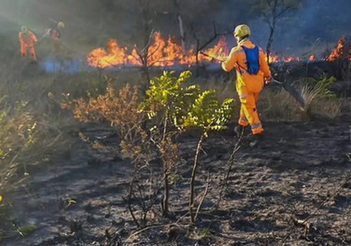 MPF e MP recomendam que PM e Bombeiros adotem medidas para identificar autores de incêndios criminosos em MG