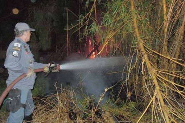 Queimada atinge bambuzal, ameaça casas e dá trabalho ao Corpo de Bombeiros