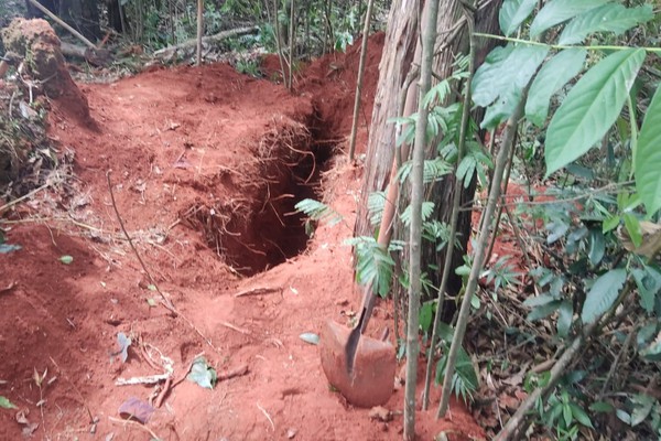 Criminosos deixam picaretas e pá onde homem foi morto e enterrado em Patos de Minas