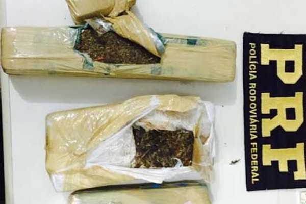 Jovem é flagrado pela PRF transportando 2kg de maconha na BR365, em Patos de Minas