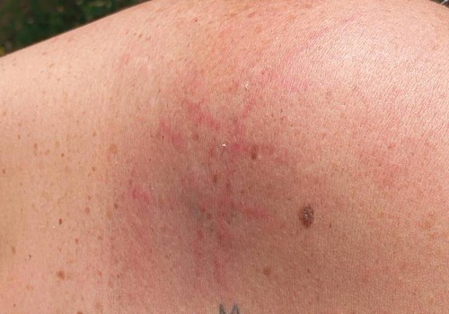 Jovem é preso por agredir companheira e danificar viatura quando era levado para o Presídio