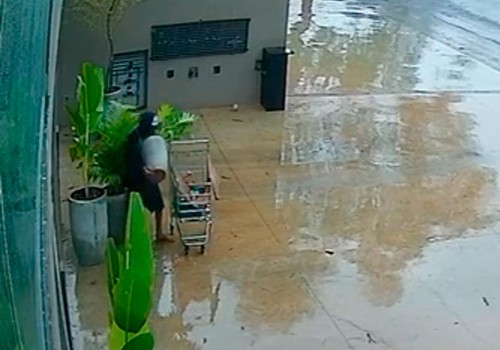 Vídeo mostra homem usando carrinho de supermercado para furtar vaso de planta