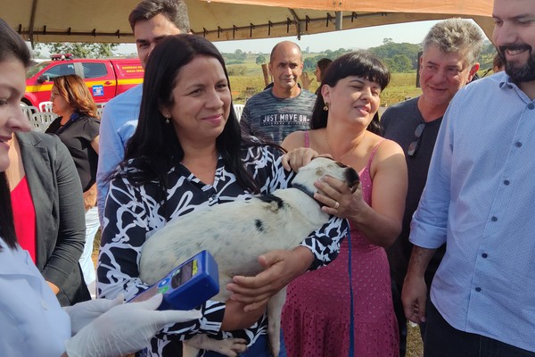 Programa Conheça Seu amigo é lançado em Patos de Minas; expectativa é microchipar mais de 3 mil animais