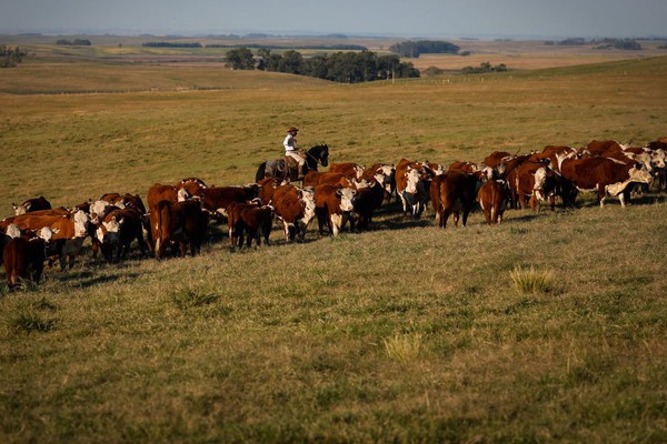 Produto Interno Bruto cresce 2,5% em fevereiro