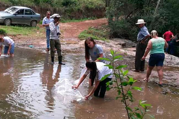 Rio Areado recebe milhares de peixes de espécies nativas e moradores cobram mais proteção