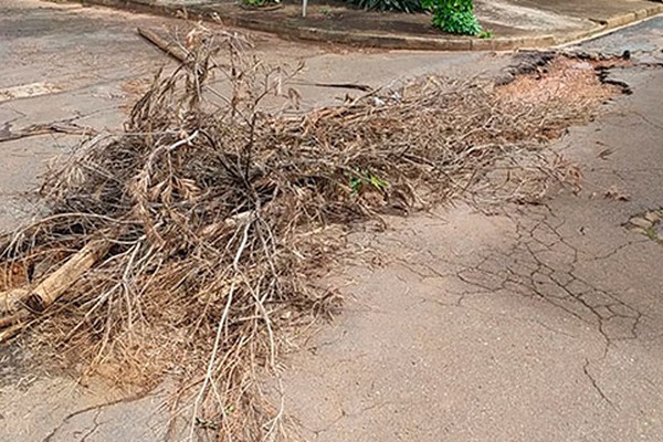 Moradora denuncia grande buraco no bairro Cidade Jardim e pede providências da prefeitura