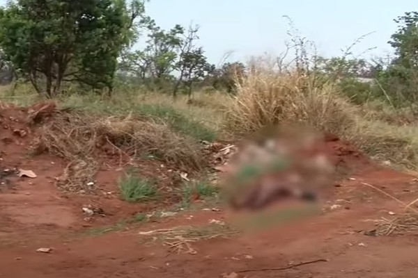 Homem é encontrado morto com marcas de tiro na MGC-497 em Uberlândia
