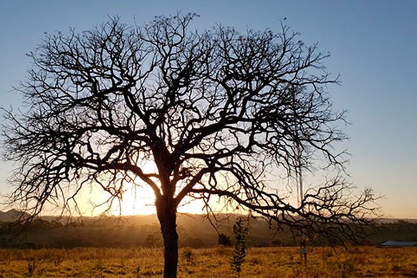 Climatologista do Unipam diz que pico de calor na região de Patos de Minas ainda está por vir