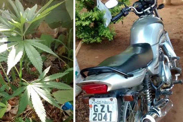 PM prende duas pessoas e encontra pé de maconha e moto furtada em terreno baldio