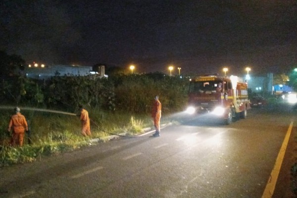 Queimada em vegetação mobiliza o Corpo de Bombeiros de Patos de Minas durante toda a tarde