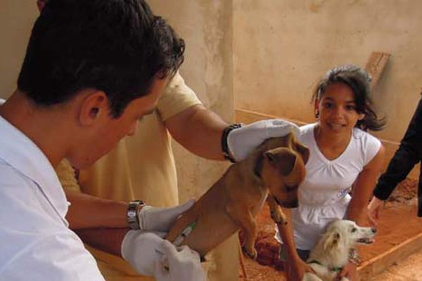 Prefeitura fala sobre trabalho feito pelo Centro de Controle de Zoonoses em 2015 