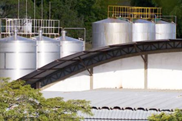 PF desmonta quadrilha que adultera leite e vendia em Minas e na região