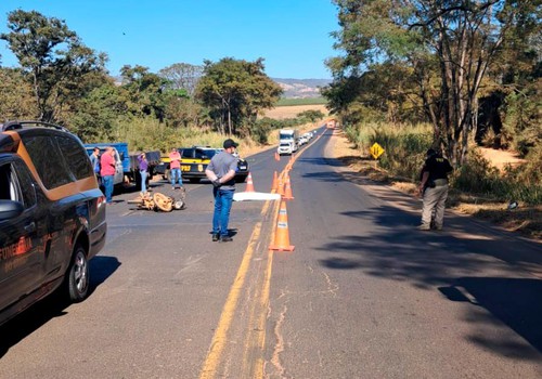 Motociclista morre após bater na traseira de caminhão parado na terceira faixa, na BR365