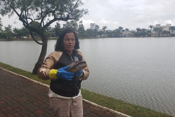 Moradora resgata cágado que saiu da Lagoa e quase foi atropelado na rua Barão do Rio Branco