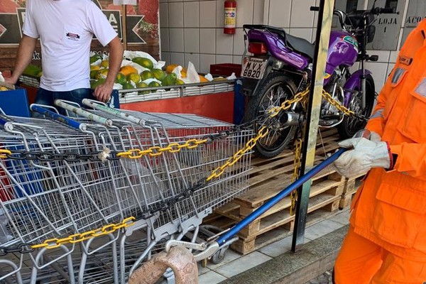 Jiboia de mais de um metro é flagrada atravessando a principal rua de Patos de Minas