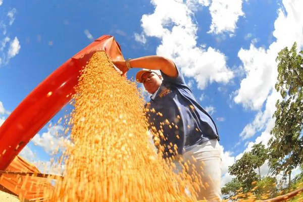 Brasil deve ter nova safra recorde de grãos em 2025/26, diz Conab