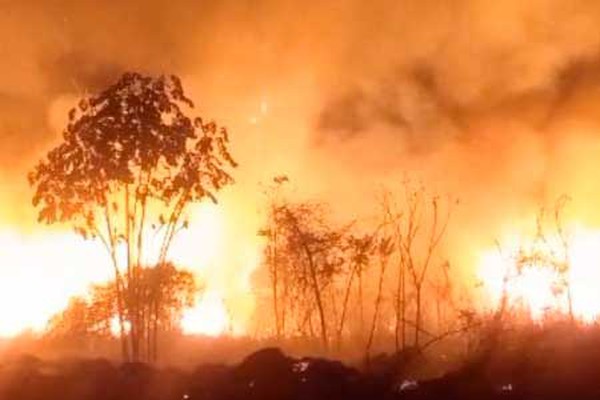 Incêndio volta a deixar Mata do Catingueiro ardendo em chamas e mobiliza Corpo de Bombeiros