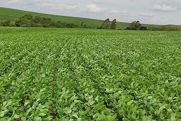 Terra do agronegócio, Patos de Minas possui mais de 3.700 produtores rurais em atividade