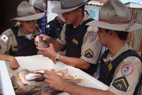 PM de Meio Ambiente apreende mais de 170 kg de peixes e leva 10 para a Delegacia