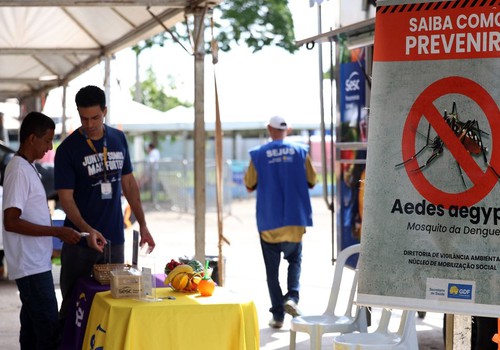 Casos de dengue no Brasil caem 60% nas primeiras semanas do ano