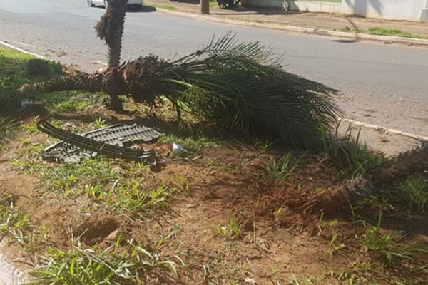 Carro capota em avenida após motorista perder o controle da direção em Patos de Minas