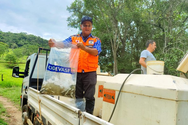 Córrego do Arroz ganha novo peixamento com soltura de 18 mil alevinos de espécies nativas