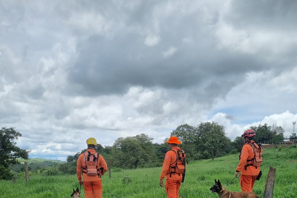 Com cães farejadores de Uberaba, Bombeiros retomam busca por desaparecido em mata