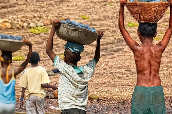 Brasil tem redução recorde na lista Piores Formas de Trabalho Infantil