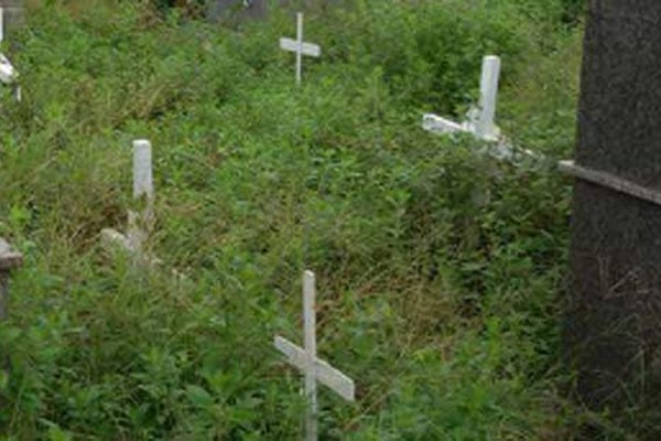 Assim como as praças e avenidas, Cemitério Municipal de Santa Cruz é tomado pelo mato