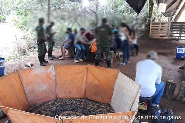 Polícia encerra aglomeração em rinha de galo e prende 21 homens e 5 mulheres em Patrocínio