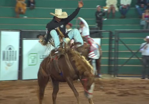 Peão esporeia, cavalo pula, mas vence os 8 segundos na 1ª montaria da noite; veja ao vivo