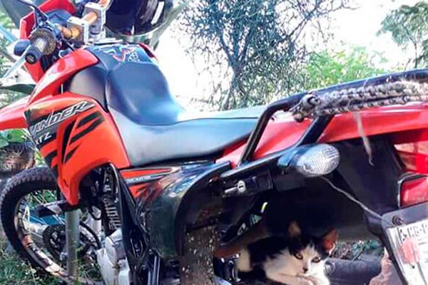 Trabalhador pede ajuda da população para encontrar moto furtada em Patos de Minas